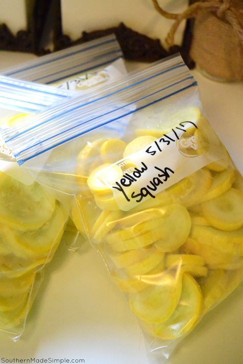 How to Freeze Yellow Squash - Southern Made Simple Dehydrating Yellow Squash, How To Store Squash And Zucchini, How To Put Up Squash In Freezer, How To Freeze Squash From The Garden, How To Preserve Summer Squash, Freezing Fresh Vegetables, Preserve Summer Squash, Vegetables That Freeze Well, Yellow Summer Squash Recipes Simple