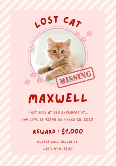 😄==> Download Free Template On Canva Link HERE : https://www.canva.com/p/itim2101/ <==😄 pink,cute,lost,cat,pet,animal,missing,wanted,find,reward Lost Cat Poster, Missing Cat Poster, Yellow Pastel, Cat Poster, Lost Cat, Cat Posters, Cat Pet, Poster Template, Pink Yellow