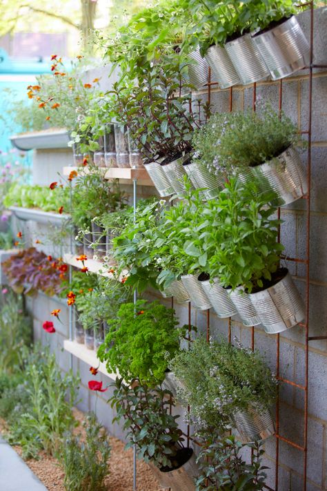 Creative Upcycling, Vertical Garden Design, Vertical Vegetable Garden, Vertical Garden Wall, Vertical Herb Garden, Plants Growing, Walled Garden, Veg Garden, Tin Cans