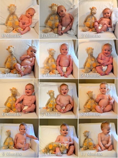 Monthly growth chart :) Baby Oyster, Monthly Pictures, Baby Growth, Foto Baby, Baby Photo Ideas, Baby Pics, Baby Time, Jolie Photo, Everything Baby