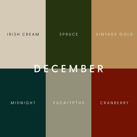 Better late than never! This concludes my year of monthly colour schemes. December is a busy month, aka a whirlwind of sparkles, plaid… | Instagram Earth Colour Palette, Beach Color Palettes, Christmas Color Palette, Hex Color Palette, Color Combinations For Clothes, Palette Design, Beach Color, Concept Development, Brand Color Palette