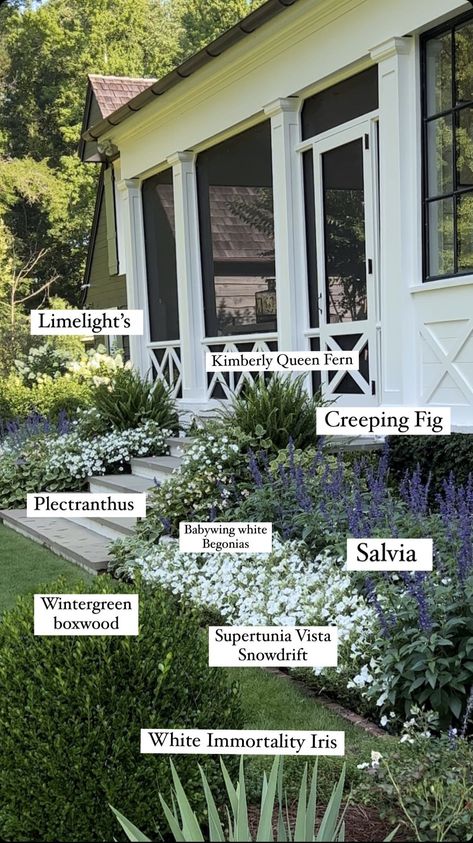 Yard Ideas For Dogs, Front Of A House, Yard Ideas Diy, Ideas For Dogs, Front Yard Garden Design, Front Landscaping, Dry Creek, Home Garden Design, Casa Exterior