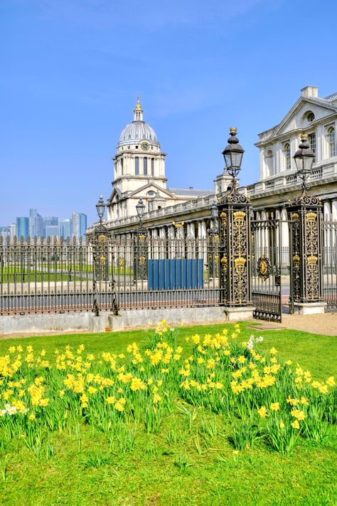 Spring flowers at Greenwich London. #london #cityscape #spring #visitlondon #londonattractions #londonphotography #londoncity #londonislovinit Spring Daffodils, London Cityscape, Greenwich London, Greenwich Park, London Attractions, London Park, England And Scotland, London Photography, Visit London