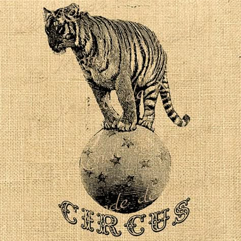 Circus Tiger vintage wild animal lion vintage door JLeeloo2, $1.00 Circus Images, Circus Tiger, Circus Lion, Tiger Vintage, Circus Posters, Circus Aesthetic, Lion Tamer, Cactus Drawing, Animal Lion