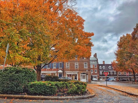 Princeton New Jersey Houses, Princeton Nj Aesthetic, Princeton University Aesthetic, Princeton Aesthetic, Princeton Campus, Autumn Gilmore, Romanticizing College, Boston Aesthetic, Dream Studies