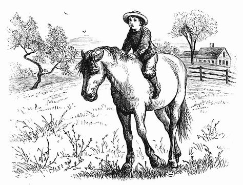 Black and white drawing of a boy riding a horse. Bullock Cart, Cartoon Books, Horse Pony, Horse Drawing, Art Cartoon, Black And White Drawing, Digi Stamps, Book Plates, A Horse