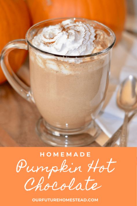 Homemade Pumpkin Hot Chocolate - Our Future Homestead Fall Hot Chocolate Recipes, Fall Hot Beverages, Healthy Crockpot Hot Chocolate, Hot Drinks For Fall, Hot Chocolate Maker Machine, Hot Fruit Compote, Homemade Hot Chocolate For One, White Pumpkin Hot Chocolate, Fall Drinks Aesthetic