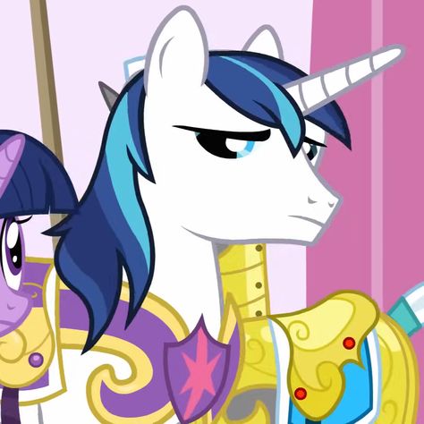 From My Little Pony: FiM S2E25 "A Canterlot Wedding - Part 1" tags: shining armor, my little pony, mlp icon pfp Shining Armor Mlp, Canterlot Wedding, My Little Pony Characters, Mlp Pony, Icon Pfp, My Little Pony, Collage, Tags, Pins