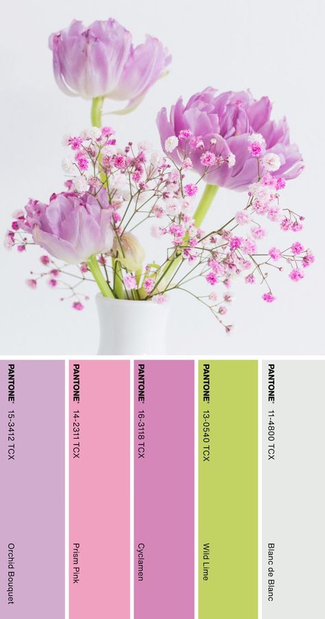 Pink Lavender Color Palette, Orchid Colour Palette, Spring Crocus Pantone, Mother’s Day Color Palette 2024, Floral Color Pallete, Mother's Day Color Palette, Floral Color Palette Colour Schemes, Purple Pink Green Color Palette, Mothers Day Color Palette