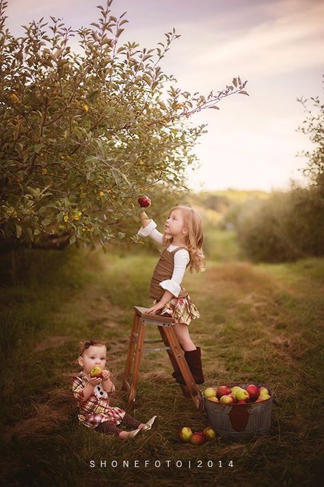 Family Pictures Apple Orchard, Outdoor Photoshoot Setup Ideas, Apple Farm Photoshoot Family, Apple Tree Photoshoot, Fruit Picking Photoshoot, Family Photo Apple Orchard, Apple Picking Photoshoot Family Photos, Orchard Family Photos, Fall Picture Ideas For Kids