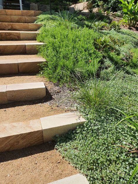 Gravel Steps On Slope, Landscape Stepping Stones, Steps Garden, Cottage Landscaping, Steep Gardens, Landscape Stairs, Coastal Garden, Natural Landscaping, Garden Stairs