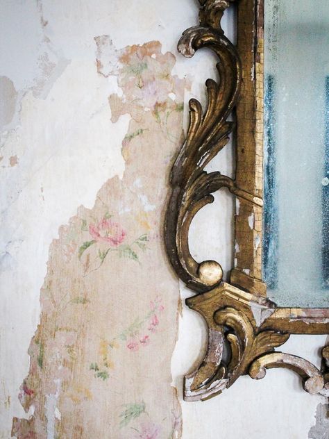 This Couple Struck Gold When They Decided to Restore Their Plaster Walls Old Plaster Walls, Plaster Repair, Tan Paint, Old Manor, Antique Wallpaper, English Decor, Old Room, Manor Houses, Good Bones