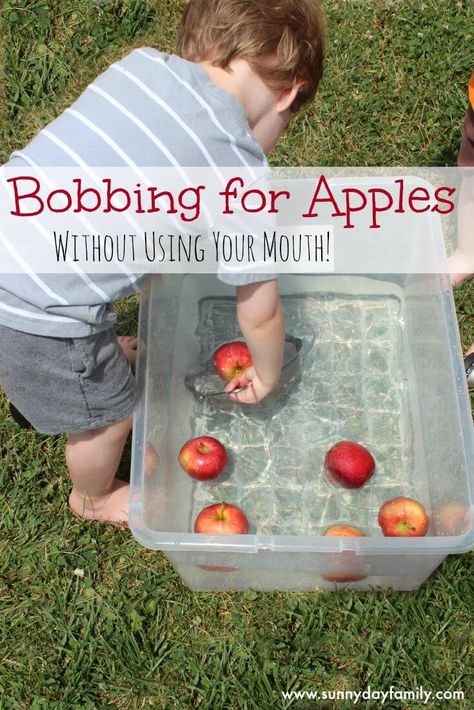 Apple bobbing activity for preschoolers who don't want to put their face in the water - this is a super fun alternative with lots of opportunities for learning! Apples For Toddlers, Apple Lesson Plans, Apple Theme Activities, Preschool Apple Activities, Preschool Apples, Apple Bobbing, Preschool Apple Theme, September Preschool, Apple Week