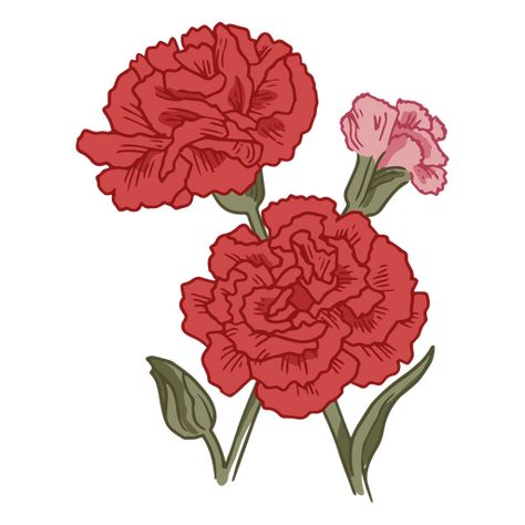 Carnation red flowers nature icon PNG Design Red Carnation Drawing, Carnation Drawing, Nature Icon, January Birth Flowers, Red Carnation, Shrinky Dink, Flower Icons, Carnation Flower, Art Theme