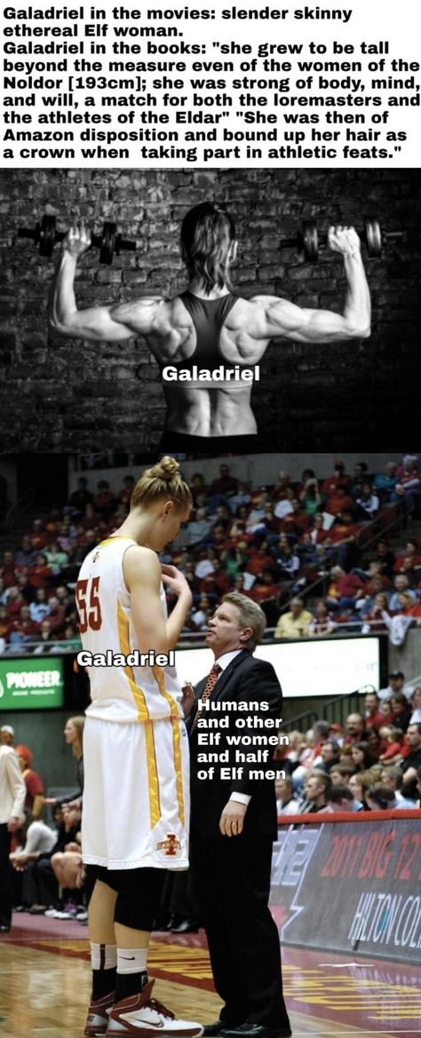 Image Meme, Lotr Funny, The Silmarillion, Thranduil, Resting Place, Jrr Tolkien, Legolas, Basketball Player, Book Fandoms