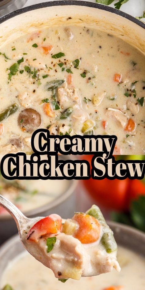 White Chicken Stew, Homemade Chicken Stew Recipe, Rotisserie Chicken Stew Recipes, Chicken Stew Creamy, Shredded Chicken Stew, Boneless Skinless Chicken Thigh Soup Recipes, Creamy Chicken Stew Recipe, Recipes With Chicken Stock, Creamy Chicken Stew Crockpot