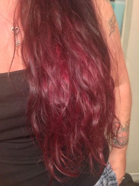 L'oreal Mega Reds Dark Intense Auburn Red & Power Reds Ruby Rush. Red Ombré Loreal Hicolor Red, Loreal Hicolor, Red Velvet Hair, Auburn Red, King Quotes, Red Power, Velvet Hair, Red Ombre, Red Hair Color