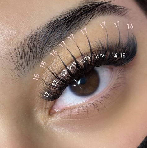 Wispy Hybrid Mapping, Eyelash Map, Lash Guide, Extension Styles, Lash Maps, Eyelash Decor, Eyebrow Extensions, Lash Map, Rhinoplasty Nose Jobs