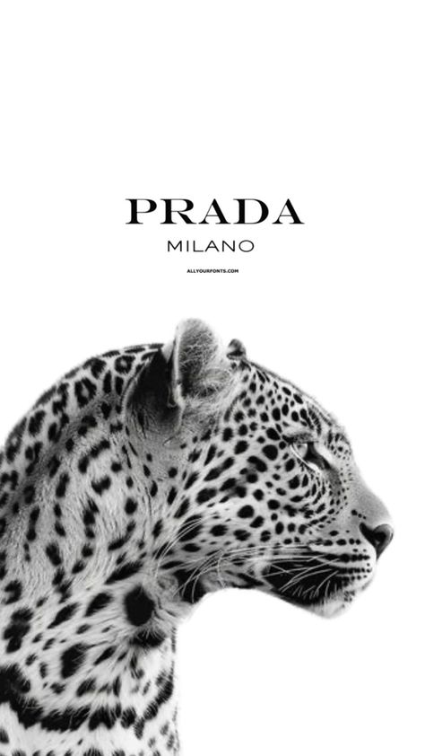 Macbook Wallpaper Leopard, Leopard Print Background Aesthetic, Prada Painting, Prada Wallpaper, Stussy Poster, Prada Poster, Cheetah Wallpaper, Chanel Wallpapers, Animal Paintings Acrylic