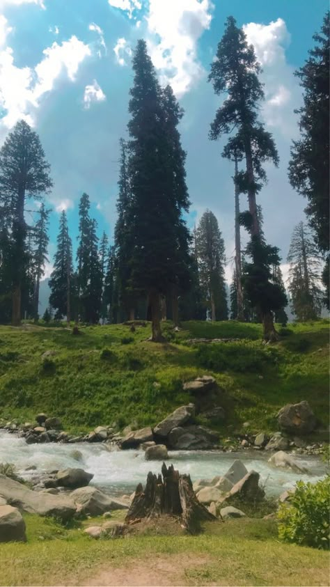 Gulmarg Kashmir Gulmarg In Summer, Gulmarg Aesthetic, Gulmarg Kashmir Aesthetic, Radha Krishna Mandir, Gulmarg Kashmir, Bottle Fairy Lights, Krishna Mandir, Kashmir Trip, Random Snaps