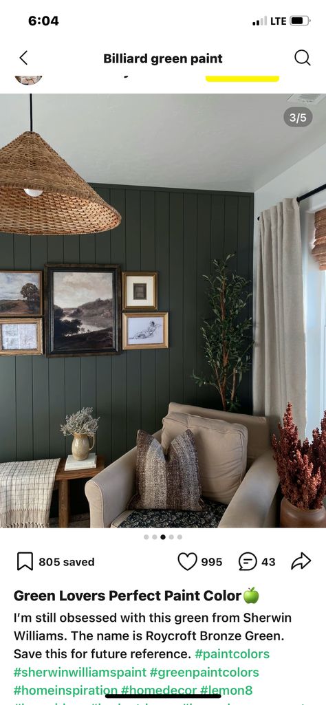 Dark Green Accent Wall With Grey Walls, Living Room Inspiration Accent Wall, Hunter Green Living Room Walls, Moody Green Accent Wall Bedroom, Living Room Accent Wall Green, Olive Accent Wall Living Room, Dark Green Living Room Aesthetic, Grey Green Accent Wall, Hunter Green Accent Wall Living Room