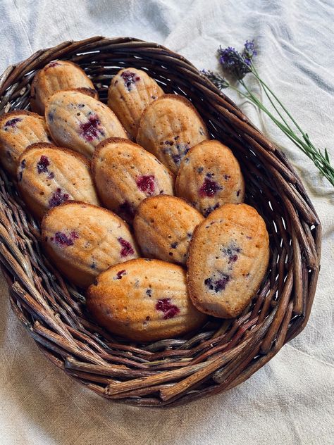 Blackberry & Lavender Madeleines – Plot & Lane Lavender Madeleines, Edible Lavender, Blackberry Lavender, Poppy Seed Cookies, Madeleine Recipe, Lemon Cookies Recipes, Culinary Lavender, French Theme, French Patisserie