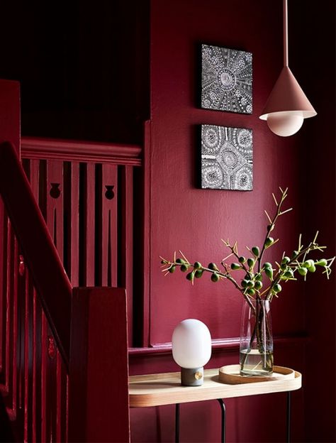 A curated 'Apartment' showroom and studio in South Yarra - and an introduction to Lauren Li, our new interiors columnist. Red Interior Design, Red Home Decor, Red Wall, Interior Design Photos, Bedroom Red, Red Decor, Red Rooms, Wall Paint Colors, Red Walls