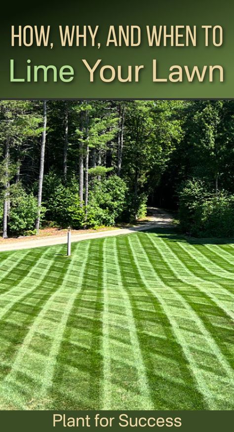 green lawn with mowing stripes in the shape of diamonds Lime For Lawns, Garden Maintenance Schedule, How To Aerate Your Lawn Diy, When To Fertilize Lawn, Yard Hacks, Texas Lawn Care Schedule, Mowing Business, Lawn Maintenance Schedule, Aerating Your Lawn