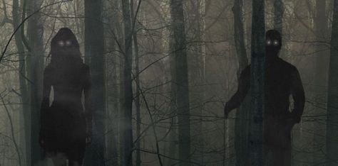 Forest Ghost Aesthetic, Spooky Woods Aesthetic, Creepy Woods Aesthetic, Cursed Forest, Camping Stories, Creepy Woods, Mysterious Universe, Shadow People, Creepypasta Oc