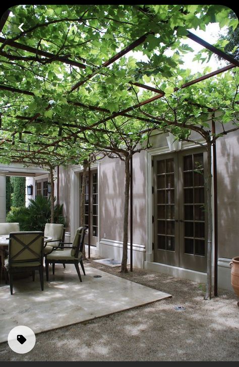 Pergola Patio, Outdoor Pergola, Courtyard Garden, Backyard Patio Designs, Outdoor Rooms, Backyard Design, Backyard Landscaping Designs, Outdoor Design, Dream Garden