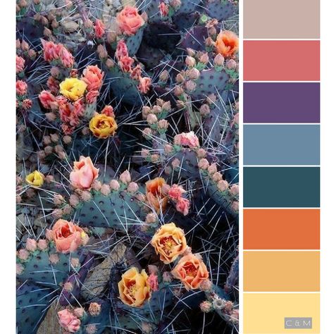 Flower garden, yellow, emerald green, orange, pink, multi color palette , purple, blue Blue Colour Scheme Living Room, Craft Room Color Palette, Color Palette With 9 Colors, Color Palette 9 Colors, Color Schemes With Emerald Green, Lavender And Emerald Green Color Palette, 10 Color Palette Colour Schemes, Multi Color Palette, Color Schemes With Purple