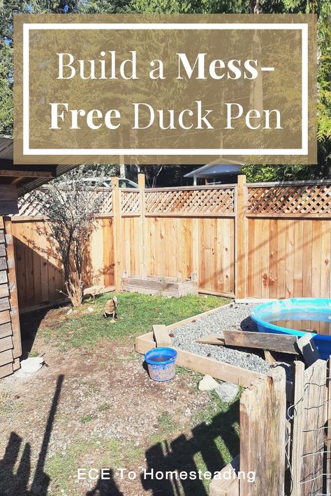 Ducks are known for making any dirt area into a mud pit. But did you know that it doesnt have to be like that? You can have a mess-free duck pen? There are several things that can be done to prevent the muddy mess of your duck pen. Check out this post to see how you can build a mess-free duck pen. Small Duck Enclosure, Duck Incloser, Duck Coop Watering System, Diy Duck Toys For Ducks, Duck Pin Ideas, Runner Duck Enclosure, Mud Free Duck Pen, Duck Pens Ideas, Duck Coop Ideas Diy Easy