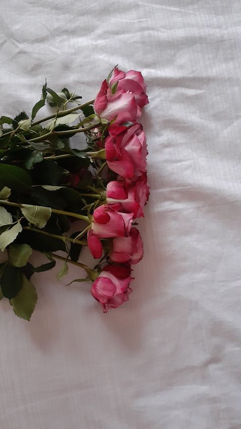 Flowers On Bed Aesthetic, Flowers On Bed, Bed Aesthetic, Aesthetic Flowers, Bed, Plants, Quotes, Flowers, Pink