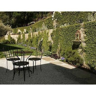 Ivy Wall Courtyard Design Ideas, Creeping Fig, Ivy Wall, Hillside Landscaping, Courtyard Design, Garden Vines, Peace And Quiet, Home Landscaping, Traditional Landscape