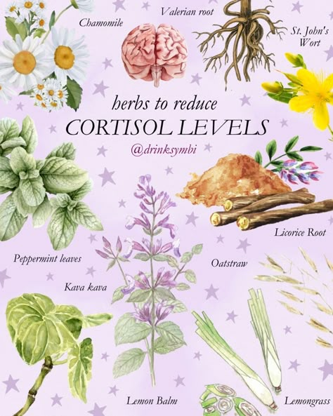 Healthy Cortisol Levels, Herbs For Bloat, Herbs For Cortisol, Herbs To Lower Cortisol, Herbs For High Cortisol, Herbs For Weight Management, Lowering Cortisol Naturally, Herbs For Mood, Lowering Cortisol Levels