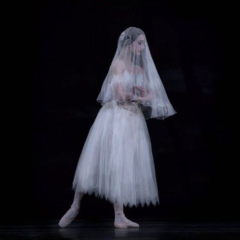 Lia Volkov, Giselle Ballet, Deception Trilogy, Briar Rose, Instagram A, Veil, Ballet