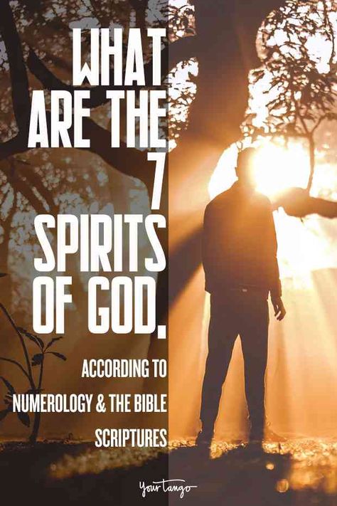 7 Spirits Of God, According To Numerology & Bible Scriptures | YourTango #religion #spirituality #spirits #god #numerology #biblescriptures #spiritsofgod The Seven Spirits Of God, 7 Spirits Of God, Life Path Number 7, Love Birds Pet, Birds Pet, The Number 7, True Meaning Of Life, Numerology Life Path, Relationship Topics