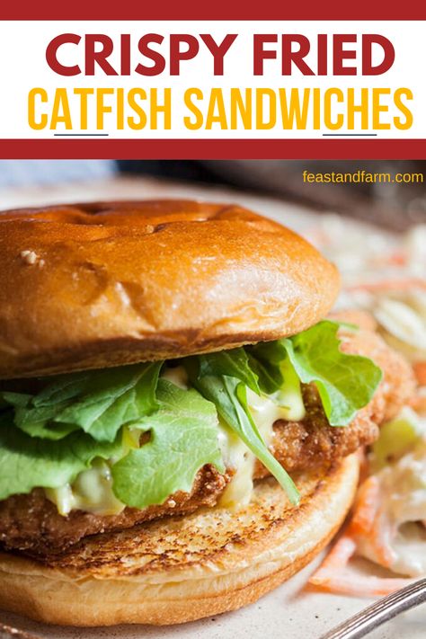 Our family loves these crispy fried catfish sandwiches! Perfect for any lunch or dinner! Absolutely delicious! #crispyfriedcatfishsandwiches #crispycatfish Catfish Sandwich Recipes, Fried Catfish Sandwich, How To Fry Catfish, Fry Catfish, Crispy Fried Catfish, Catfish Sandwich, Fish Sandwich Recipes, Catfish Recipe, Gnocchi Recipes Homemade