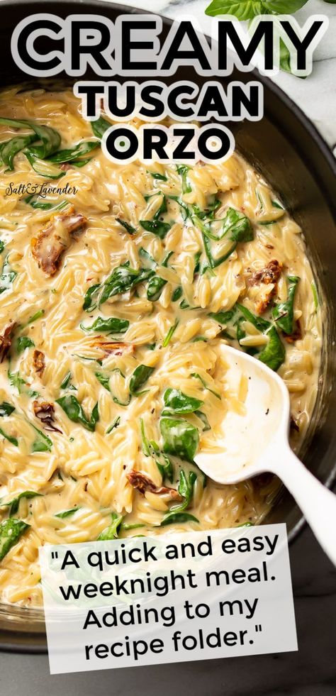 Chicken Orzo Skillet With Sun-dried Tomatoes, Creamy Garlic Orzo Pasta, Orzo Recipes Creamy, Spinach And Sun Dried Tomato Recipes, Tuscan Orzo Pasta, One Pot Healthy Orzo, Alfredo Orzo Recipes, Creamy Sundried Tomato Orzo, Easy Creamy Orzo Recipes