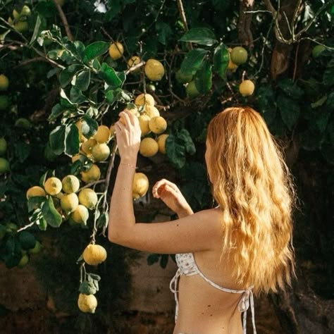 Under The Lemon Tree, Lemon Poppy, Tree Woman, Lemon Tree, Italian Summer, European Summer, Summer Fruit, Summer Heat, For Love And Lemons