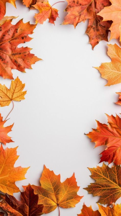 Fall Leaves Border on White Fall Leaves Background, Fall Borders, Leaves Border, Autumn Leaves Wallpaper, Leaves Background, Page Borders Design, Leaf Border, Fall Background, Leaves Wallpaper