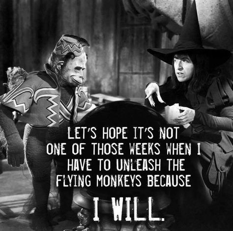 Don't make me release the flying monkeys. Wizard Of Oz Quotes, Witch Quotes, Flying Monkeys, Halloween Quotes, The Wizard Of Oz, The Wizard, Teacher Humor, Days Of The Week, Funny Sayings