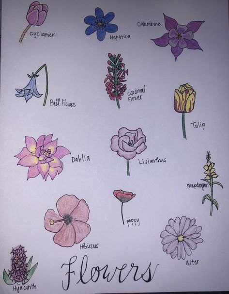 Flowers #bulletjournal #diy #floral #drawings #doodles #sketchbookdrawings #sketching #ideas How To Draw A Hyacinth, Snapdragon Flowers, Hyacinth Flowers, Wildflower Drawing, Cardinal Flower, Continuous Line Drawing, Sketchbook Drawings, Flower Sketches, Flower Drawing