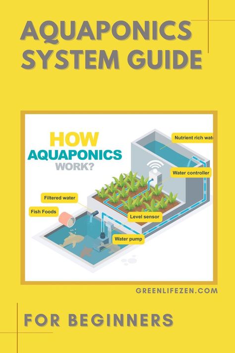 Best Fish For Aquaponics, Aeroponic Gardening, Indoor Aquaponics, Aquaponics Greenhouse, Backyard Aquaponics, Aquaponics Fish, Hydroponic Farming, Aqua Culture, Outdoor Ponds