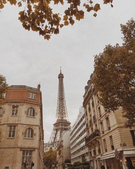 Paris, France Heartstopper Aesthetic, Expensive Cologne, Paris Travel Photography, French Aesthetic, Paris Vibes, Paris Aesthetic, Paris Photography, The Eiffel Tower, Paris Travel