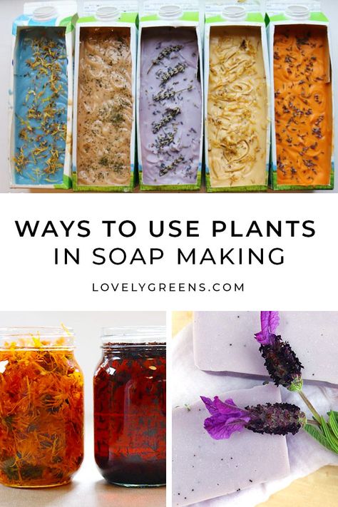 Homestead Soap Making, How To Make Essential Oil Soap, Natural Dyes For Soap, Natural Coloring For Soap, Natural Colorants For Soap, Natural Soap Scents, How To Make Natural Soap, Herbal Soap Recipes, Soap Scents Combinations