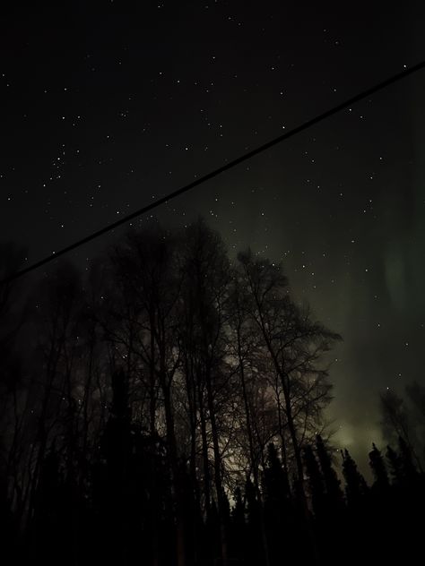 Alaskan Aesthetic, Northern Lights Aesthetic, Dark Alaska Aesthetic, Alaska Aesthetic, Alaska Wilderness Aesthetic, Northern Lights Astethic, Watching Northern Lights, Northern Lights Fairbanks Alaska, Life Plan