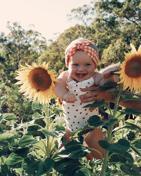 Sunflower Growing, Sunflower Mini Session, Sunflower Shoot, Sunflower Field Pictures, Sunflower Photos, Sunflower Photoshoot, Sunflower Family, Sunflower Photography, Sunflower Photo