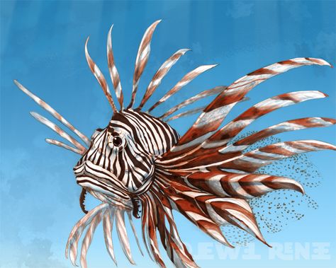 Lionfish Drawing | Email This BlogThis! Share to Twitter Share to Facebook Share to ... Blue Sea Slug, Balloon Fish, Sea Drawing, Fish Artwork, Ocean Tattoos, Lion Fish, Shallow Water, Beautiful Sea Creatures, Sea Slug