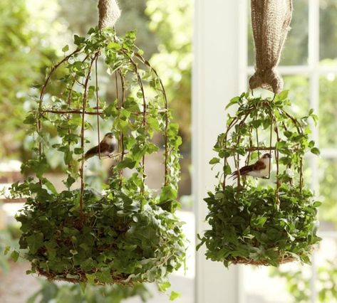 cage oiseau déco de terrasse plantes grimpantes Kursi Outdoor, Birdcage Planter, Diy Bird Cage, Topiary Diy, Hanging Bird Cage, Bird Cage Covers, Diy Bird Bath, Enchanted Forest Wedding, Bird Cage Decor